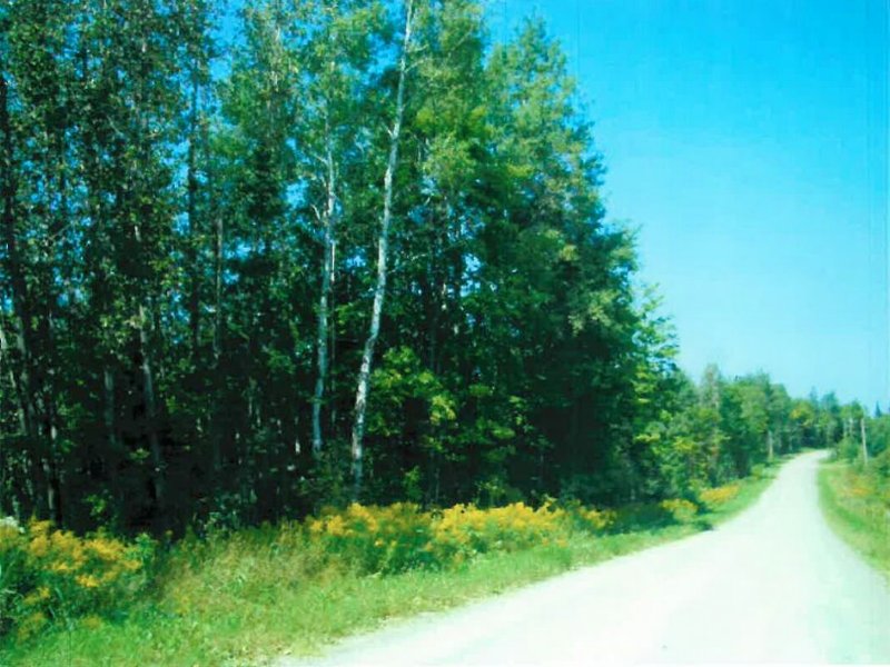 Waterfront 32 Acres for Sale : Westmanland : Aroostook County : Maine