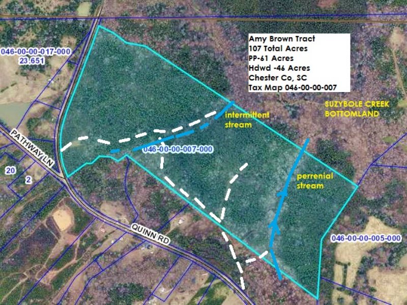 107 Acres Hills & Valley Hunting : Chester : Chester County : South Carolina