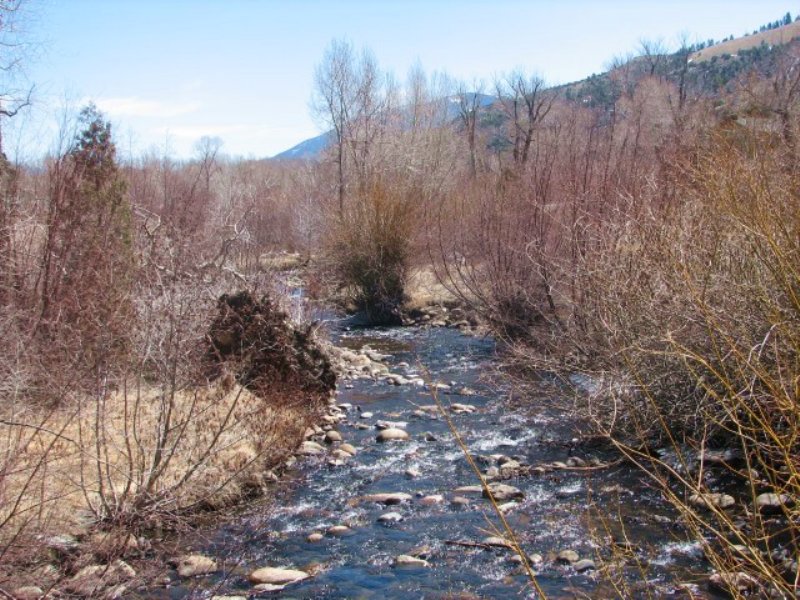 0.98 Acre Undeveloped Land : Maysville : Chaffee County : Colorado