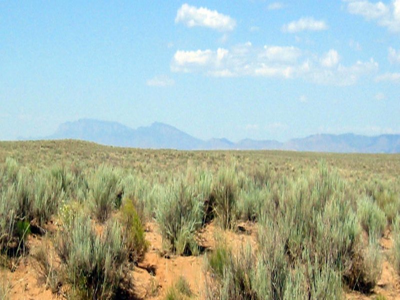 2.52 Acre Acreage for Sale : Los Lunas : Valencia County : New Mexico