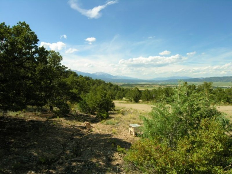 31.85 Acres Mountain Land : Salida : Chaffee County : Colorado
