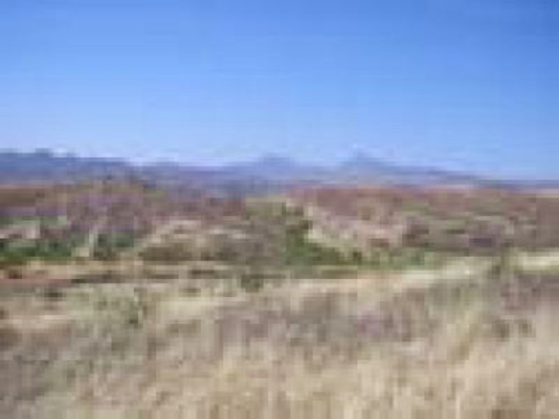 1/4 Acre Buena Vista Ranch Est. : Nogales : Santa Cruz County : Arizona