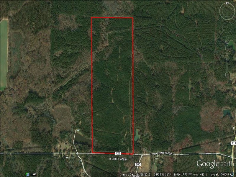 120 Acres for Sale : Walthall : Webster County : Mississippi