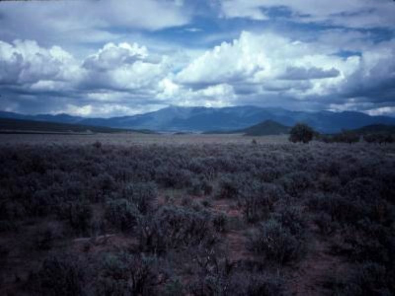 1/4 Acre in Tres Piedras Estates : Tres Piedras : Taos County : New Mexico