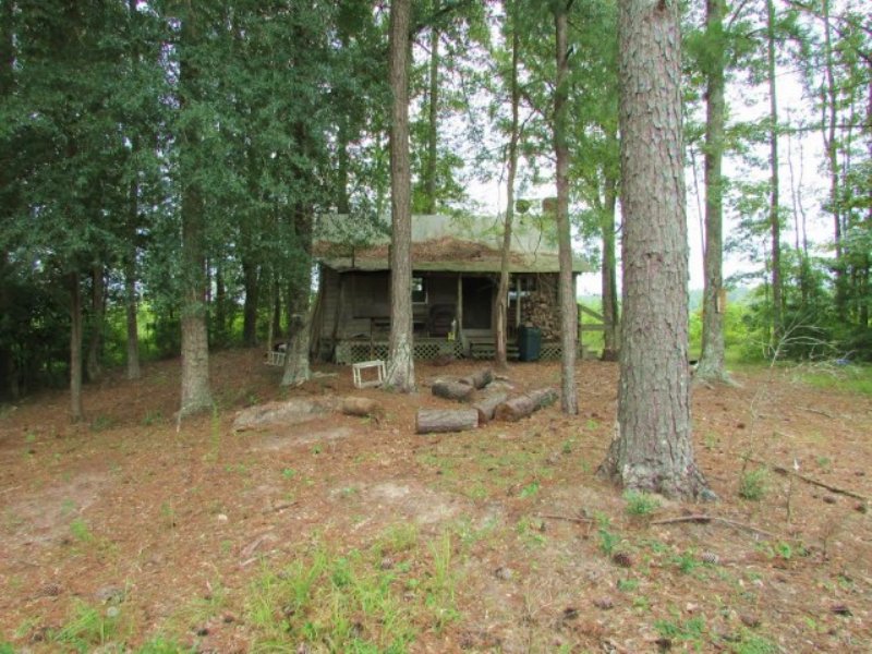 153.00 Acres Hunting Land, Timber : Hickory : Newton County : Mississippi
