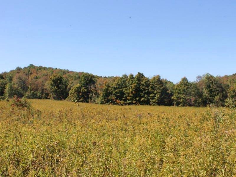 Country Building Lot 9 Acres : Columbia : Herkimer County : New York