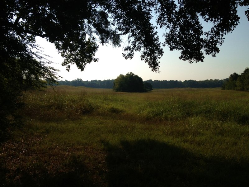 22.94 Ac Pasture & Scattered Trees : Pelahatchie : Rankin County : Mississippi
