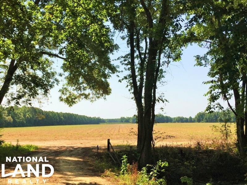 Recreational Farmland : Greeleyville : Williamsburg County : South Carolina
