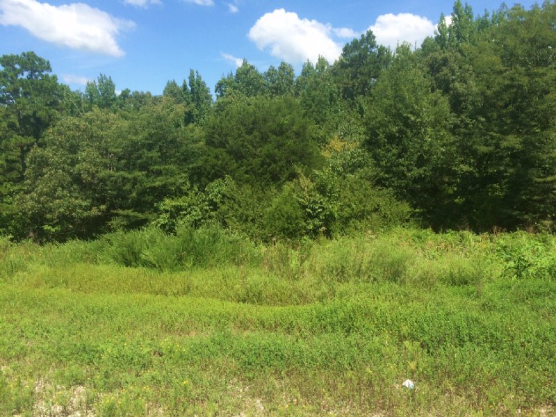 11.65 Ac +/- Just Outside Of City : Paragould : Greene County : Arkansas