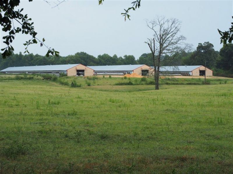 Poultry Farm with 60 Acres, Mt, Oli : Mount Olive : Covington County : Mississippi
