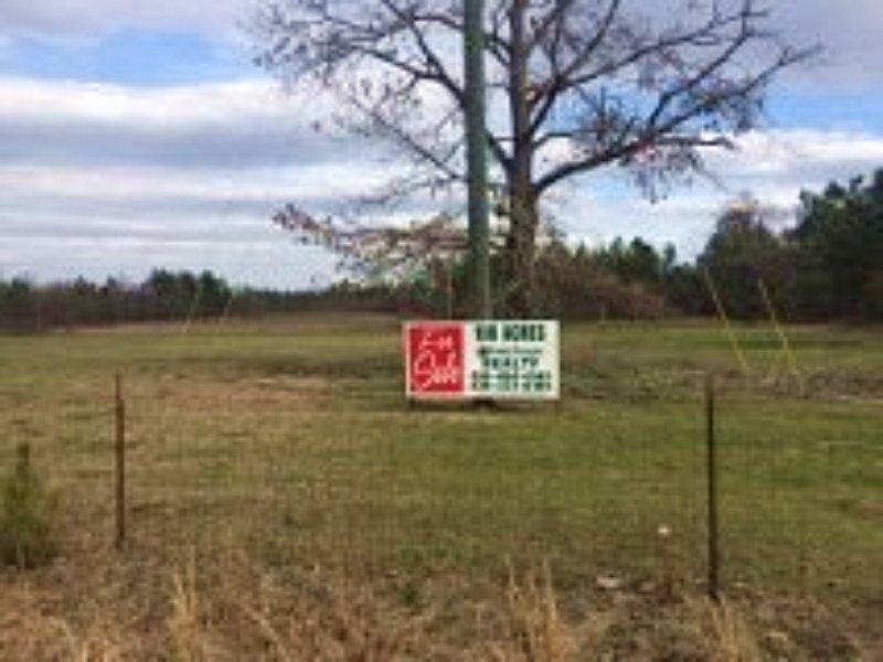 109 Acre Cattle / Horse Farm : Swainsboro : Emanuel County : Georgia