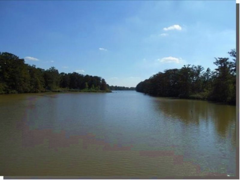 140.00 Acres Fishing Land, Hunting : Dundee : Tunica County : Mississippi