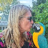 Lisa Wannemacher @ LandmarkShark, LLC