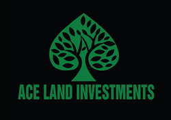 Greg Metevelis : Ace Land Investments