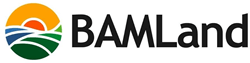 Brittany Melling : BAM Land