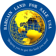 Iryna Cone : Bargain Land