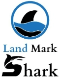 Lisa Wannemacher @ LandmarkShark, LLC