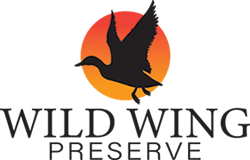 Chad May @ Wild Wing Preserve