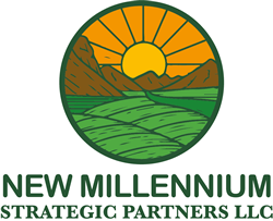 Lloyd Ippolito : New Millennium Strategic Partners LLC
