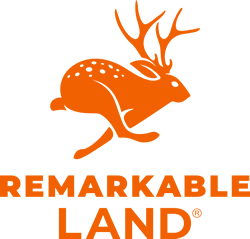 Robert Dow : Remarkable Land