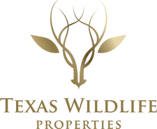 Marc Dupre : Texas Wildlife Properties