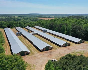 4-House Broiler Farm with Several Homesites