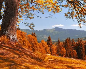 A Peek Into Fall: 6 Standout Trends in Recreational Land