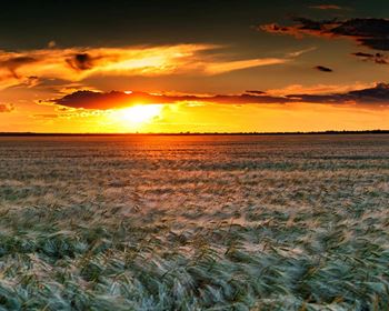 Ag Investment Trends On The Minds Of Investors In 2025