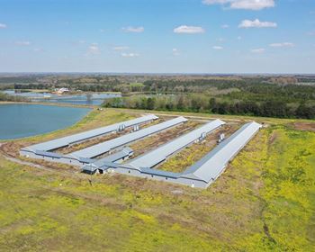 Alabama Farm Offers Multiple Income Streams