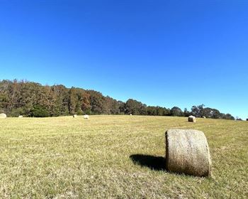 Alabama Grazing Farm with Rolling Pastures