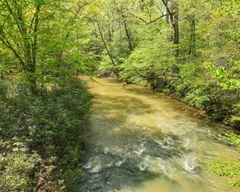 Alabama Tract Offers Endless Recreational Opportunities