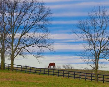 Americans Are Moving to Rural Alabama and Georgia