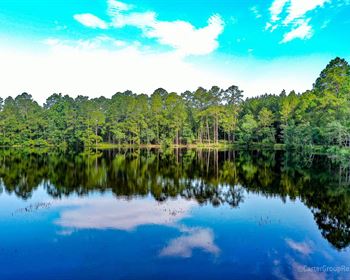 Beautiful East Lake Plantation in Big Buck Country