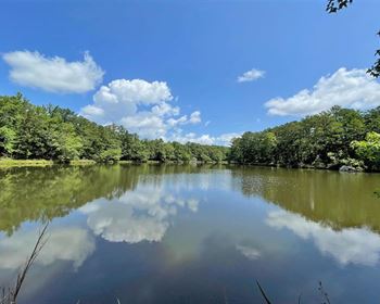 Brimwood Lakes and Lodge in Alabama
