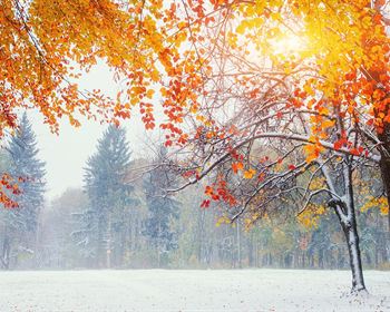 Buying Land During the Holiday Season is a Smart Move