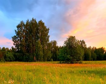 Buying Land to Build a Home
