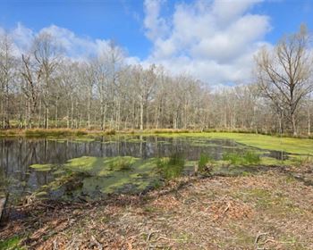 Deer & Duck Hunting Land is a Sportsman’s Paradise