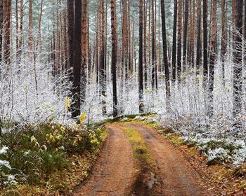 Implementing a Strategy to Gain Access to My Land