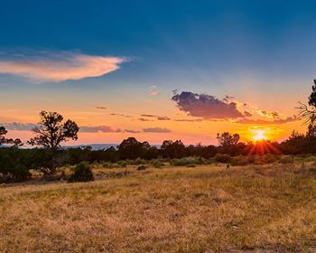 Investing in Land? Flesh Out Your Plan to Make it Happen