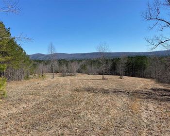 Large Acre Tract in Alabama Borders National Forest
