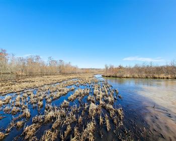 Meticulously Managed Tennessee Hunting Tract