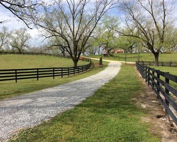 Move-In Ready Horse Farm in Alabama