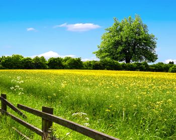 Negotiating a Boundary Line Agreement