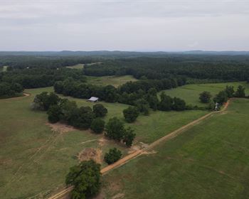 Operating Purebred Seedstock Cattle Ranch in Alabama