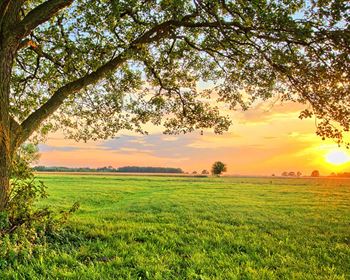 Owner Financing Land You Want to Sell