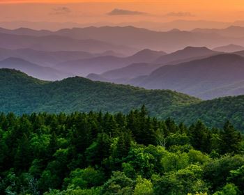 Prices and Present Value: From Trans Ams to Timberlands