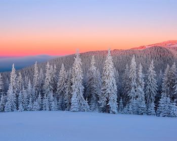 Pulse: Most Americans Oppose Data Center Construction in Rural Communities