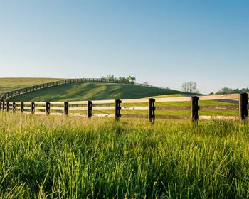 Pulse: Post Covid-19, Rural Areas will Continue to See Influx of Buyers