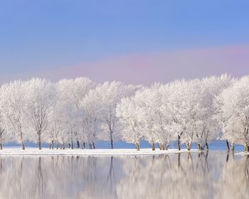 Pulse: Prospective Land Buyers Optimistic and Ready to Jump in 2026