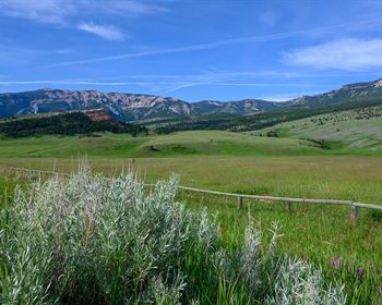 Pulse: Public Favors Banning Foreign Investors from Buying U.S. Land